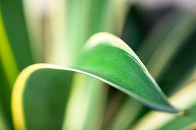 Switch OLED没有采用新CPU 也没有更多内存